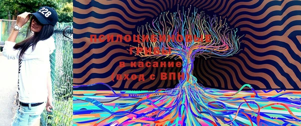 ешки Беломорск