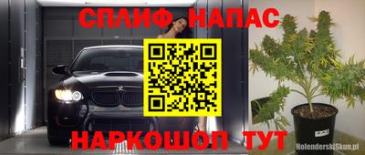 гидра Будённовск