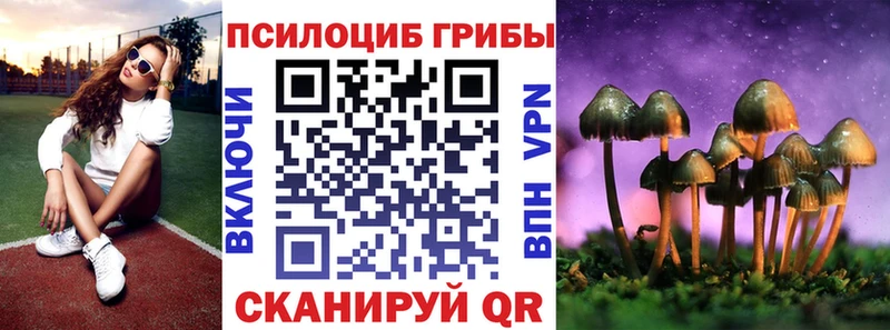 omg tor  Горячий Ключ  Псилоцибиновые грибы Magic Shrooms 