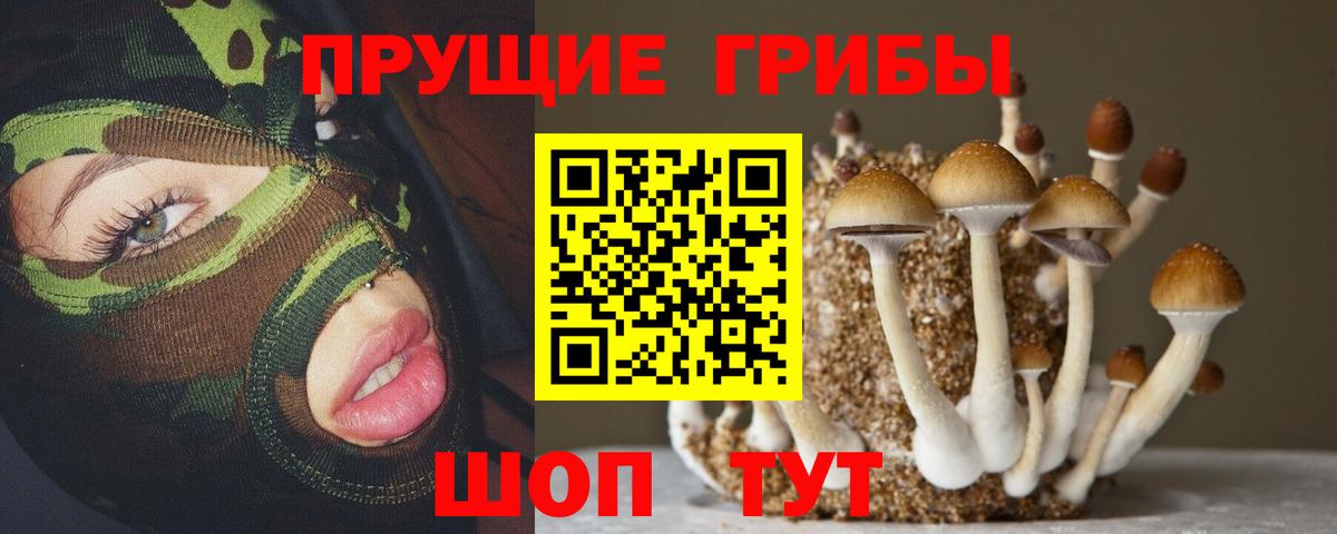 Псилоцибиновые грибы ЛСД Горячий Ключ