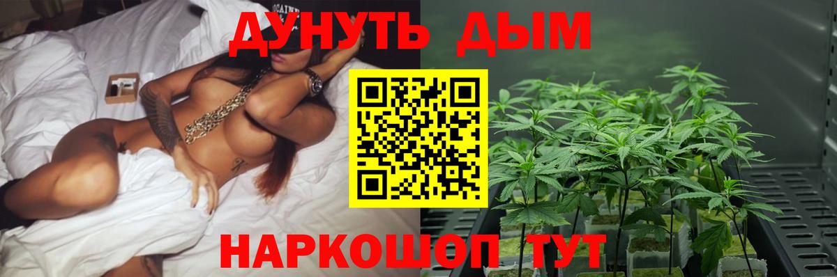 Горячий Ключ  Канабис планчик  Шишки марихуана тримм  Вход с VPN  Марихуана сатива  Бошки Шишки гибрид 